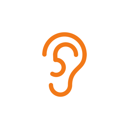 Custom fit ear plugs